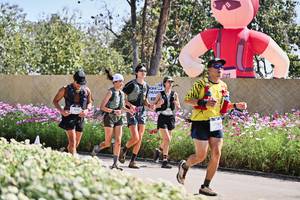 BIB: 
                            <button type="button" onclick="openModal(27796884)" class="btn btn-primary btn-sm float-right btn-popup" data-toggle="modal" data-target=".modal-high-quality">
                        <i class="fas fa-shopping-cart"></i> Add to Cart
                    </button>
                                            <button type="button" onclick="isThisMe(27796884, true)" class="btn btn-success btn-sm float-right btn-popup btn-isme hidden" data-toggle="tooltip" data-placement="bottom" title="นี่คือรูปของคุณใช่ไหม คลิกที่นี่เพื่อเอาเข้าอัลบั้ม">
                        <i class="fas fa-plus"></i> Add to album
                    </button>
                    <button type="button" onclick="isThisMe(27796884, false)" class="btn btn-warning btn-sm float-right btn-popup btn-isnotme hidden">
                        <i class="fas fa-ban"></i> Remove from album
                    </button>